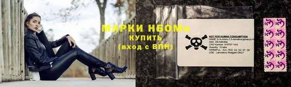 эйфоретик Баксан