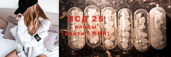 эйфоретик Баксан